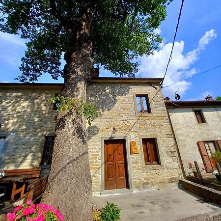 Casina La Quercia Apartman Santa Sofia Kültér fotó