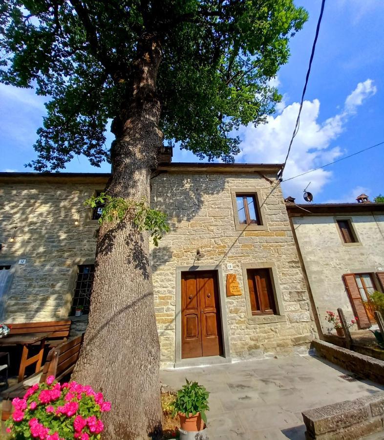 Casina La Quercia Apartman Santa Sofia Kültér fotó