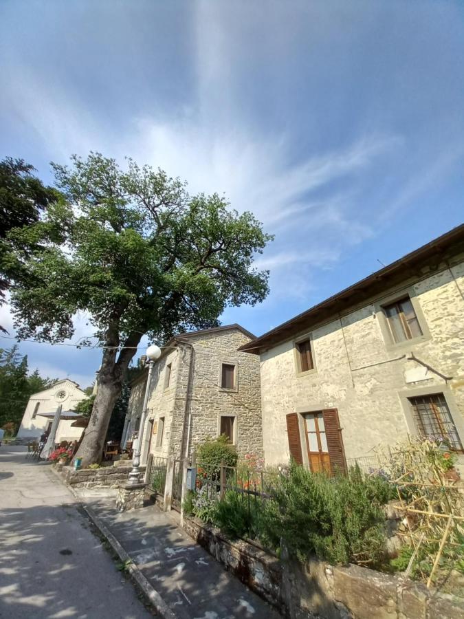 Casina La Quercia Apartman Santa Sofia Kültér fotó
