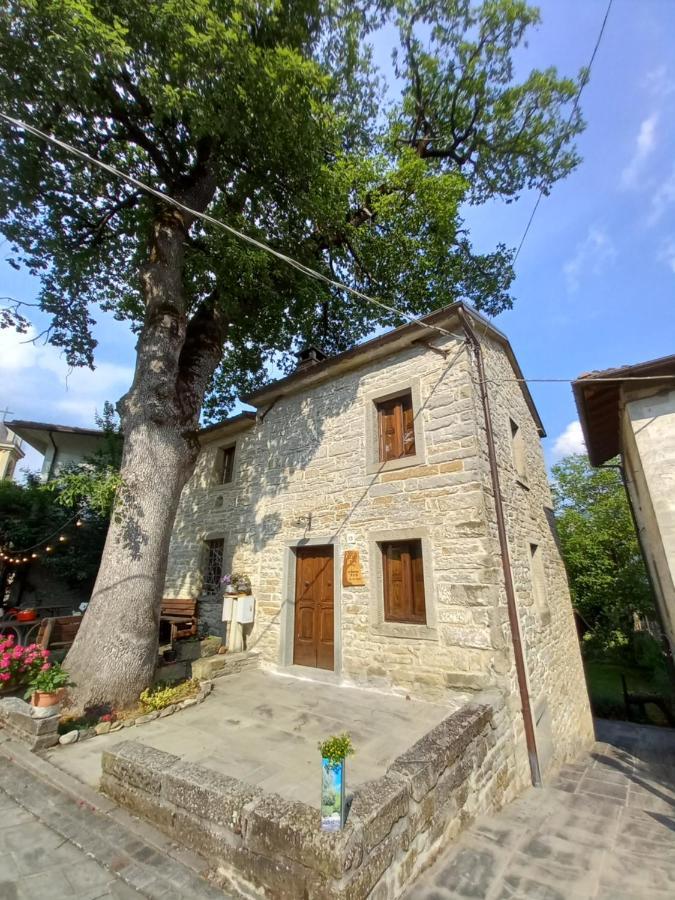 Casina La Quercia Apartman Santa Sofia Kültér fotó