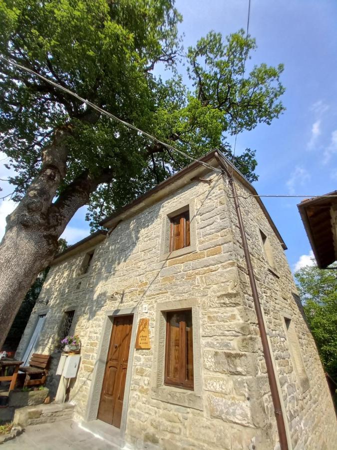 Casina La Quercia Apartman Santa Sofia Kültér fotó